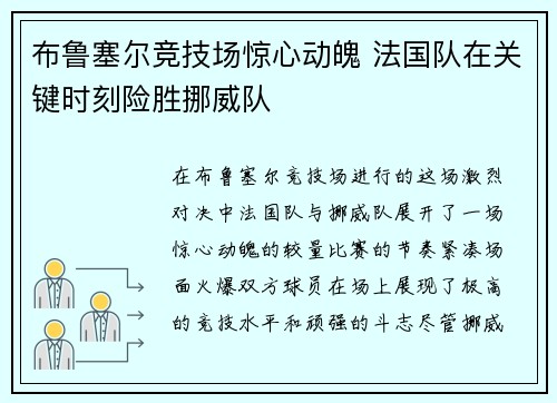 布鲁塞尔竞技场惊心动魄 法国队在关键时刻险胜挪威队