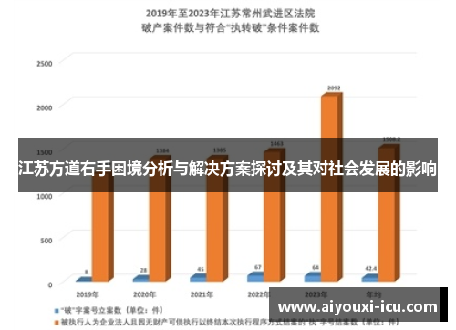 江苏方道右手困境分析与解决方案探讨及其对社会发展的影响