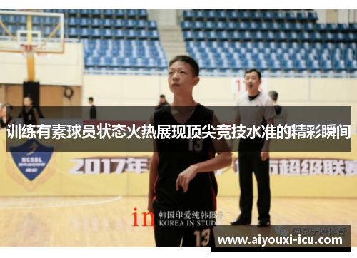 训练有素球员状态火热展现顶尖竞技水准的精彩瞬间