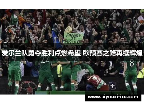 爱尔兰队勇夺胜利点燃希望 欧预赛之路再续辉煌