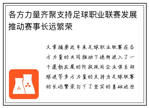 各方力量齐聚支持足球职业联赛发展推动赛事长远繁荣