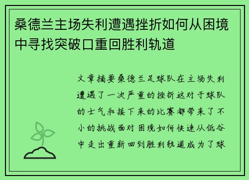 桑德兰主场失利遭遇挫折如何从困境中寻找突破口重回胜利轨道