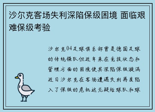 沙尔克客场失利深陷保级困境 面临艰难保级考验