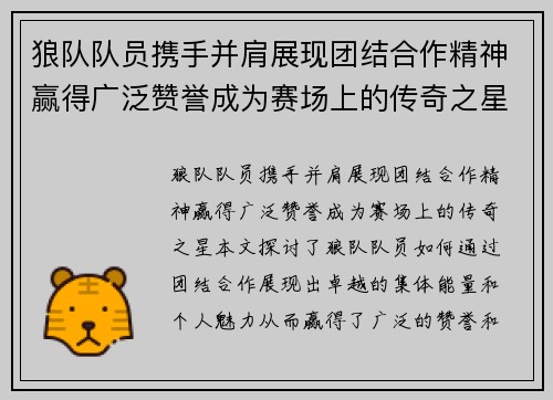 狼队队员携手并肩展现团结合作精神赢得广泛赞誉成为赛场上的传奇之星
